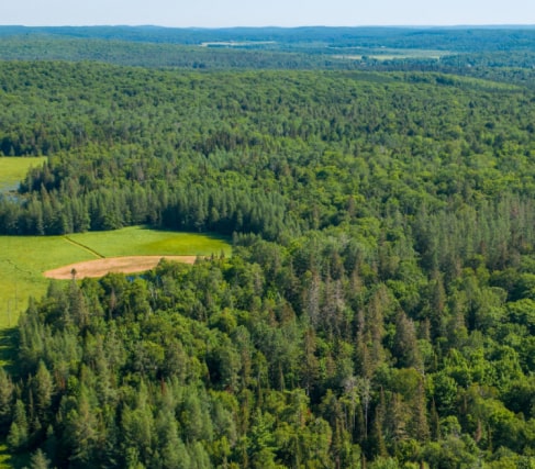 Vacant Land for Sale in Parry Sound